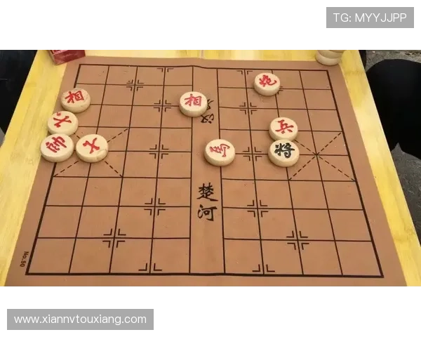 我国棋队两牌进账 国际象棋快棋赛摘两银